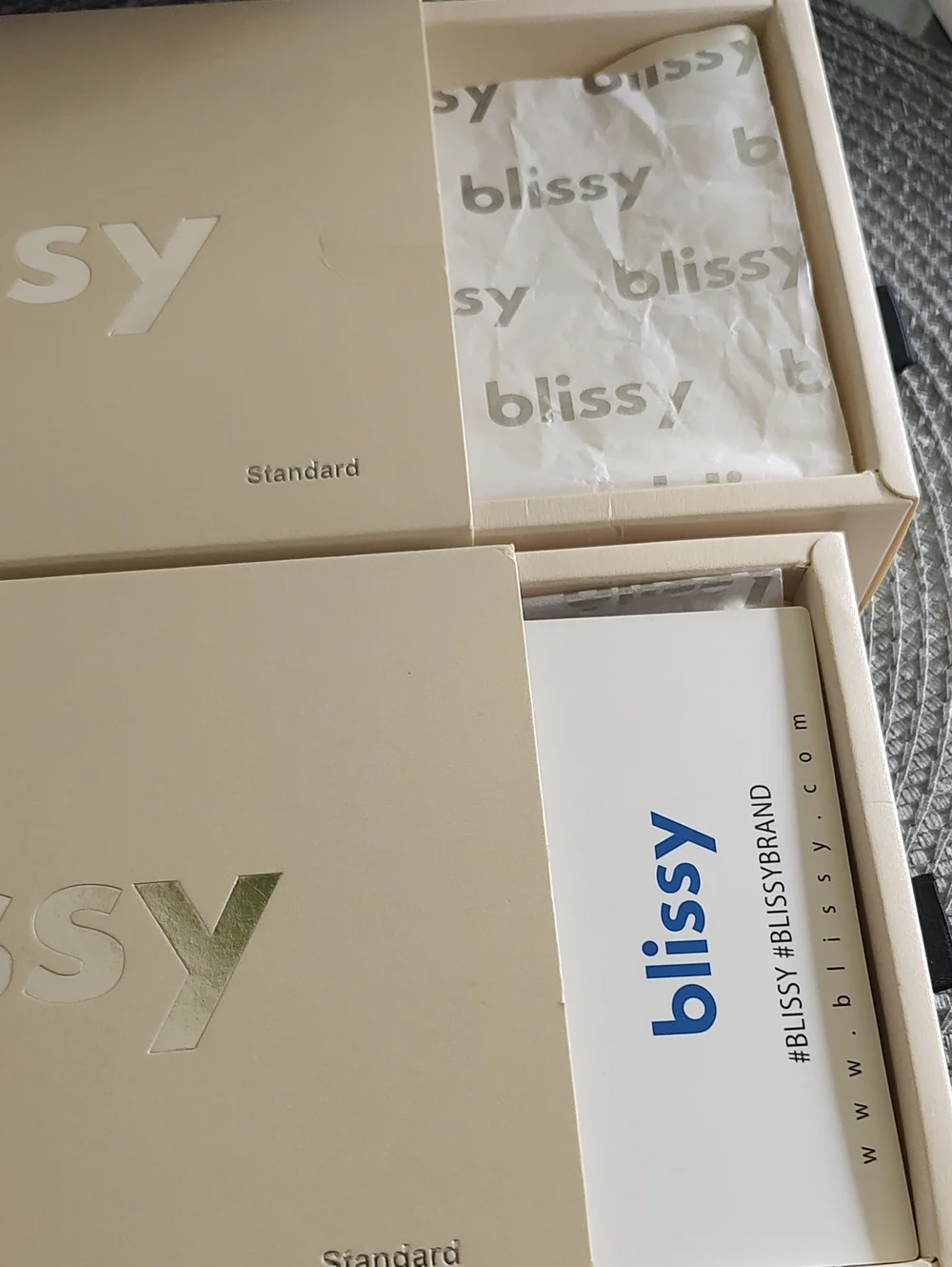 (2) Blissy Silk Pillowcases